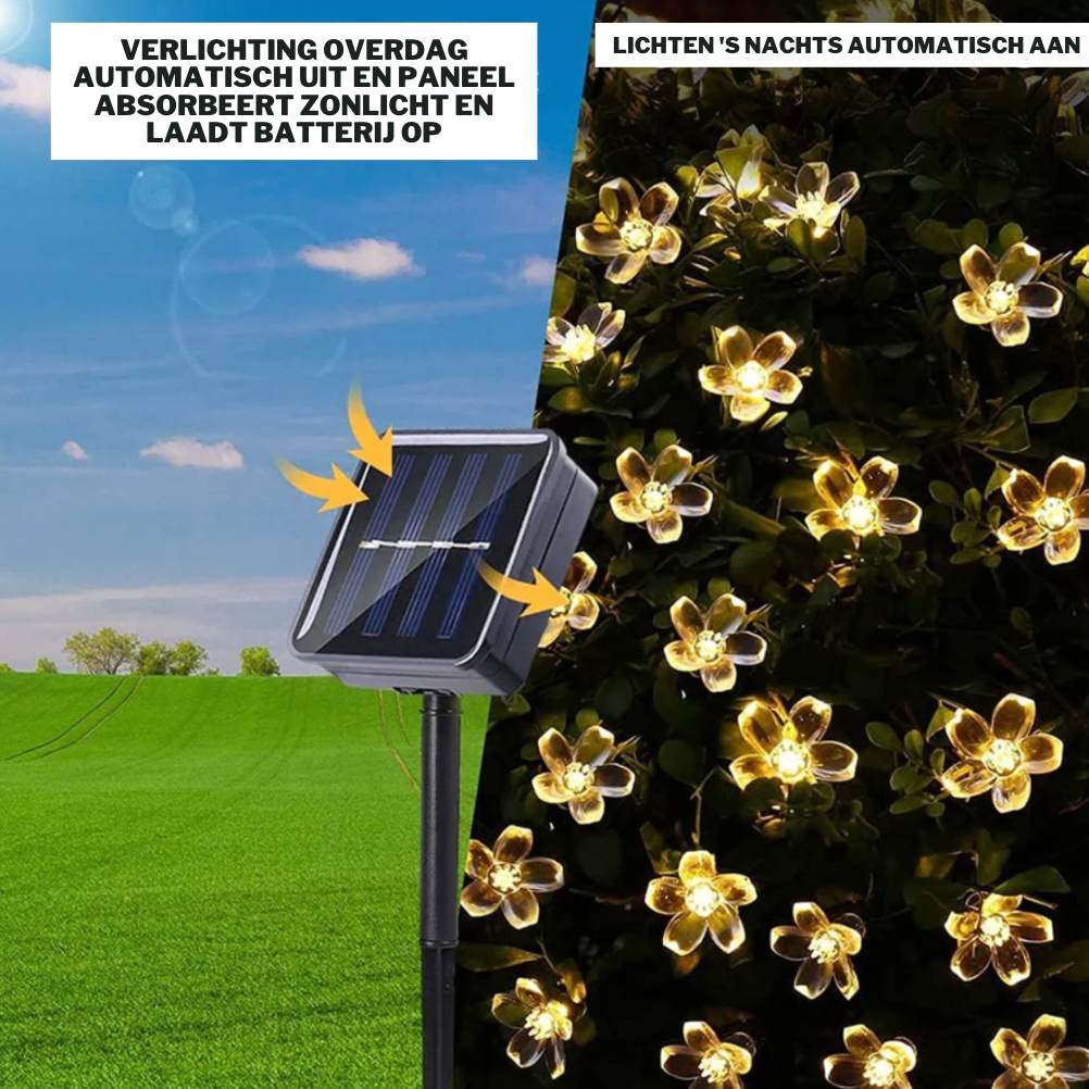 FlowerLights™ | Solar LED-aangedreven Verlichting