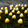 SolarShrooms™ | Solar LED-aangedreven Verlichting