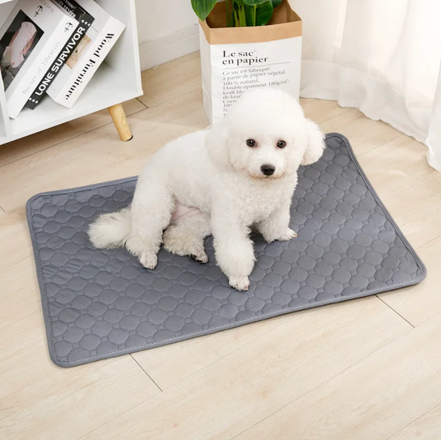 PuppyPad™ | Wasbare Zindelijkheidstraining Pads